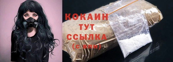 прущий лед Арсеньев
