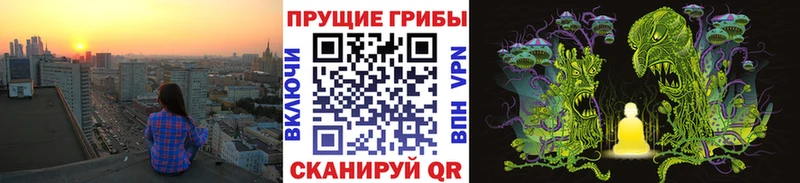 Галлюциногенные грибы Cubensis  купить  цена  Котельниково 